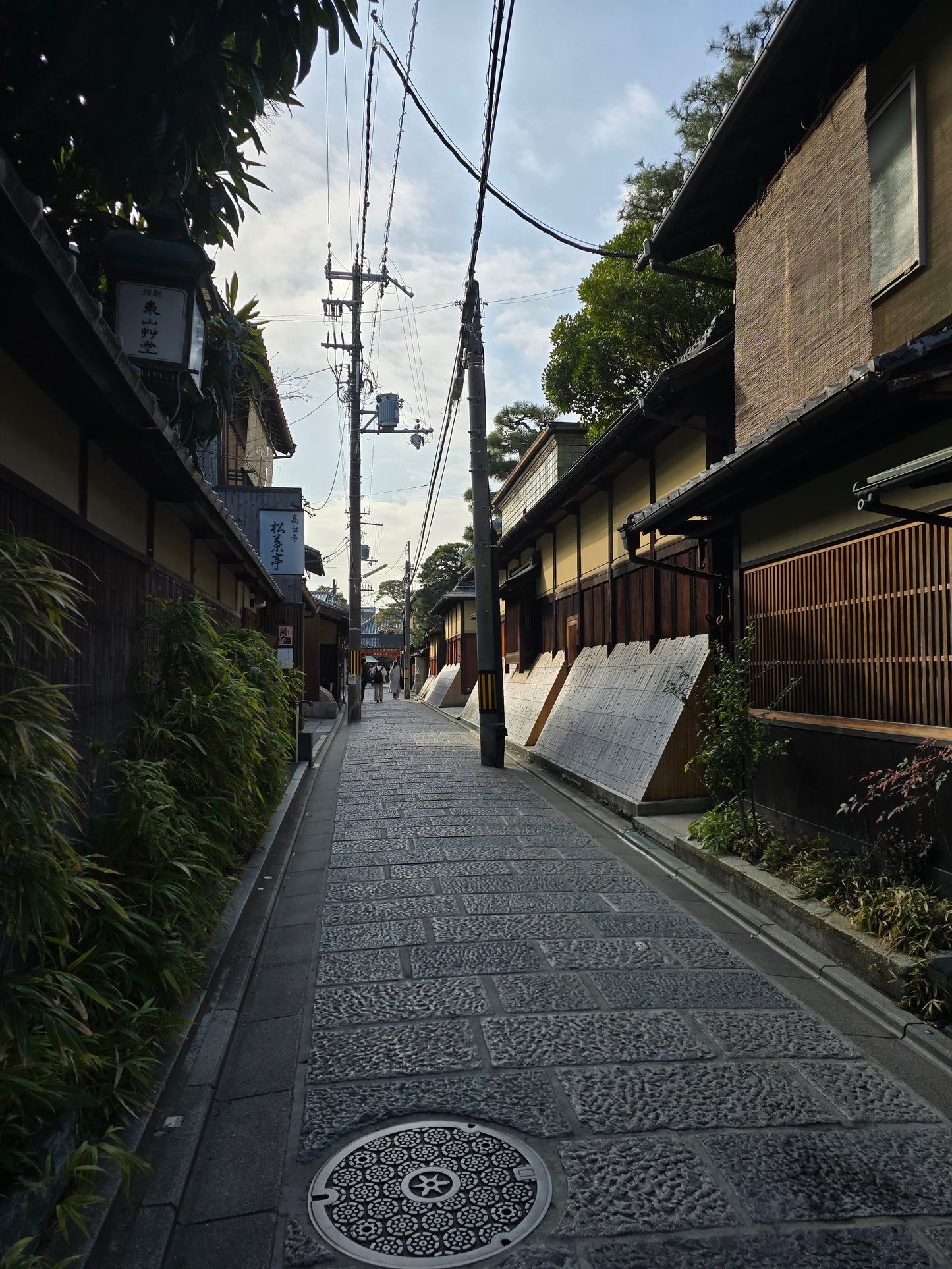photo of a narrow paved road with a fence on one side, houses on the other, and telephone poles in the middle