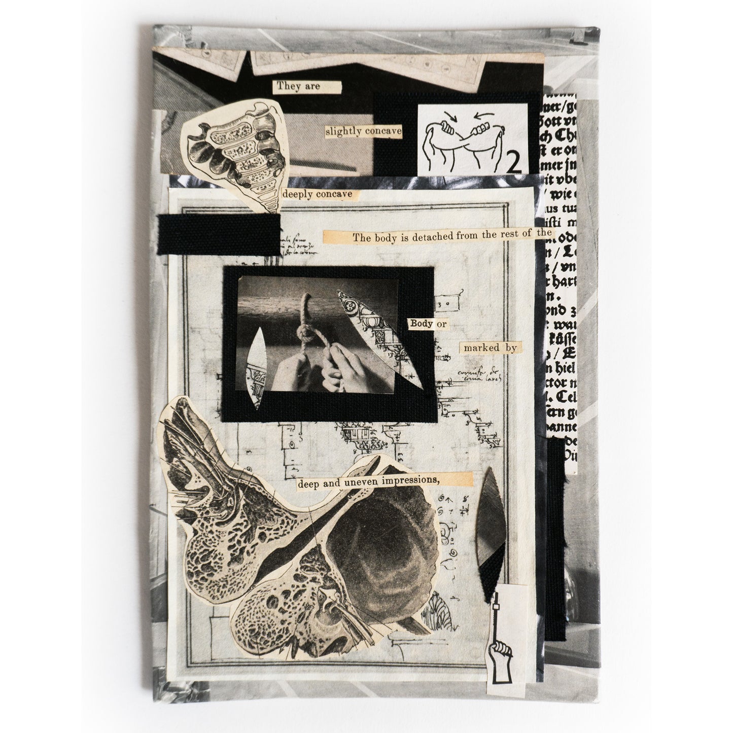 Black and white collage of anatomical illustrations and text