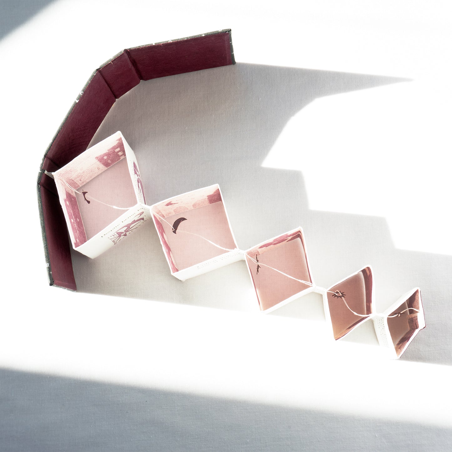 CARRION artist's book