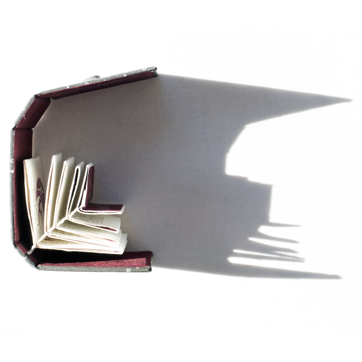 CARRION artist's book